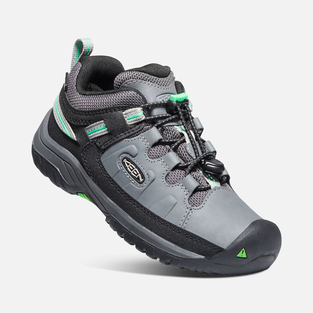 Chaussure de Randonnée Keen Enfant porno/Vert | Targhee Waterproof | VSYIU-8701